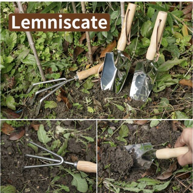 【開封のみ】LEMNISCATE ★ガーデンツールセット 5点セット ステンレス鋼 木製ハンドル付き ガーデニング用品 盆栽 道具 家庭菜園用品 _画像7