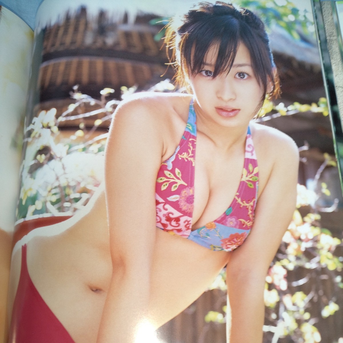 [15 -years old. supernova!sk water *bruma* bikini * sailor suit ] Yamaguchi ... photoalbum [.... middle .] the first .* obi . attaching 2007 year sale p1416