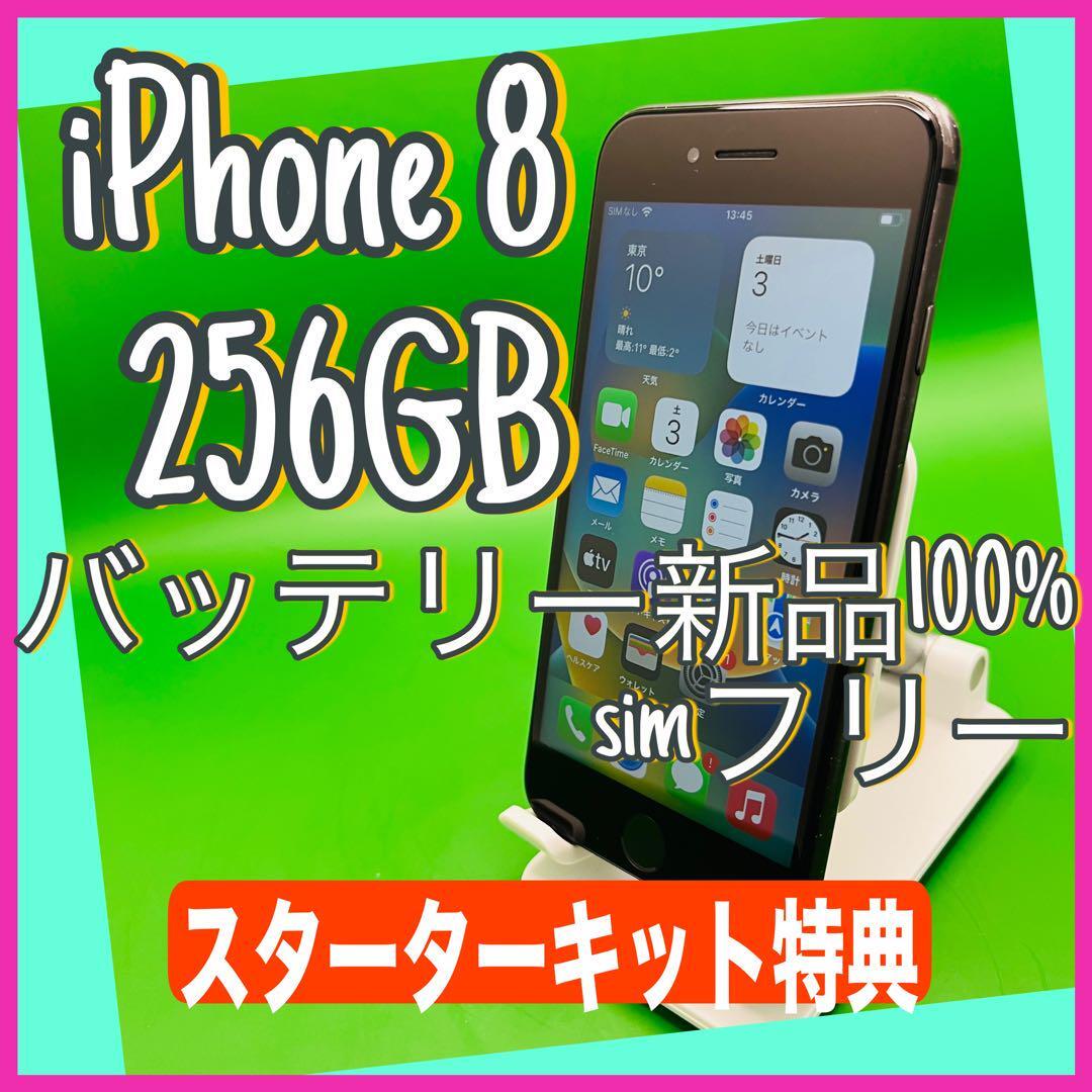 iPhone 8 Space Gray 256GB SIMフリー　商品ランクB
