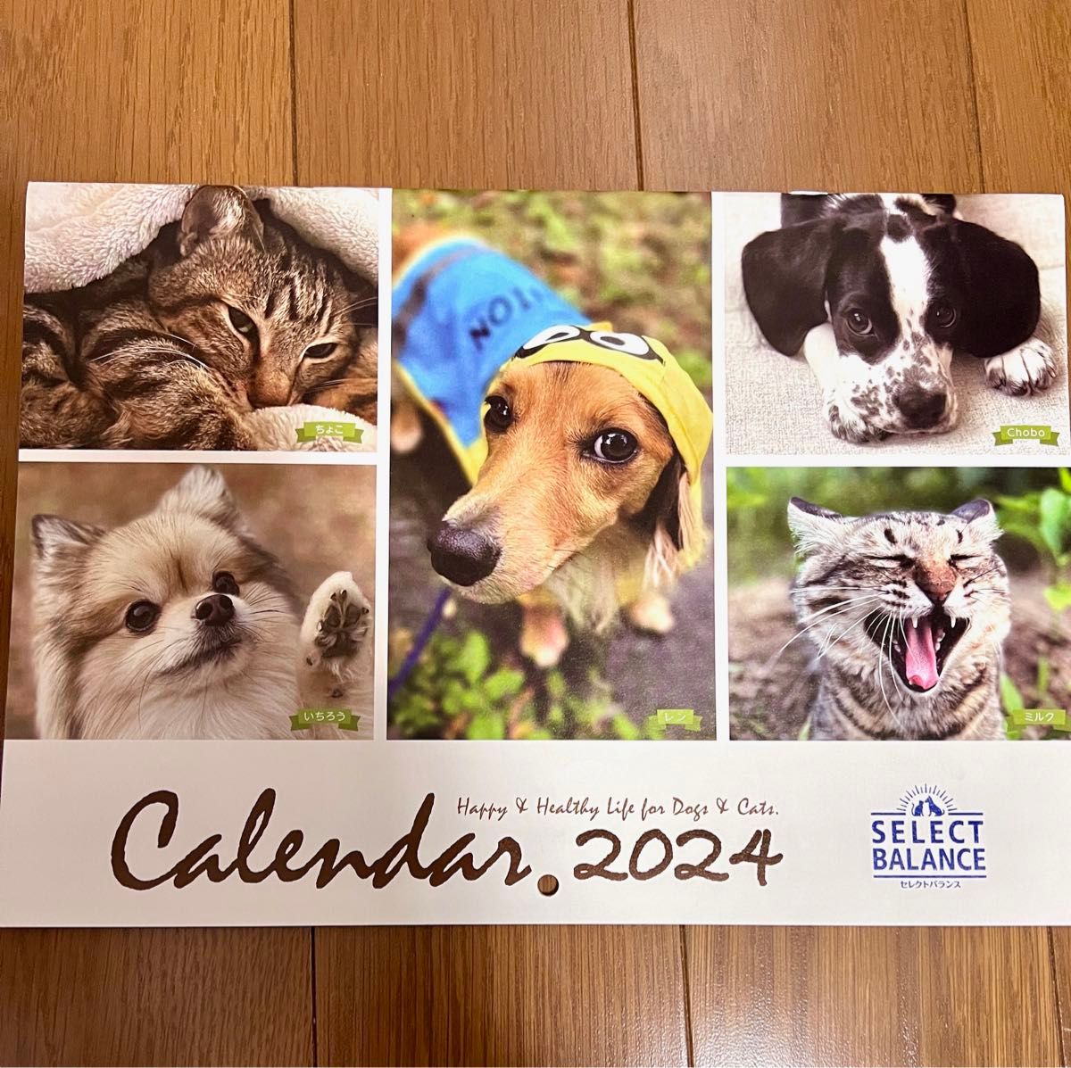 クーポンで300円★HappyDogs&Cats 犬猫カレンダー2024★セレクトバランス ベッツチョイスジャパン【非売品】壁掛け