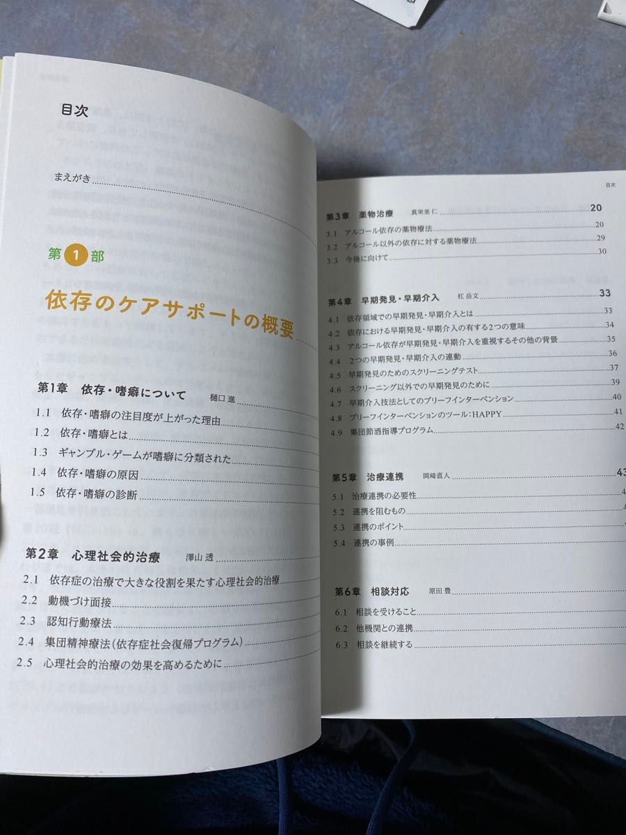 アルコール・薬物・ギャンブル・ゲームの依存ケアサポート　保健・医療・福祉のために 樋口進／監修　1220ら