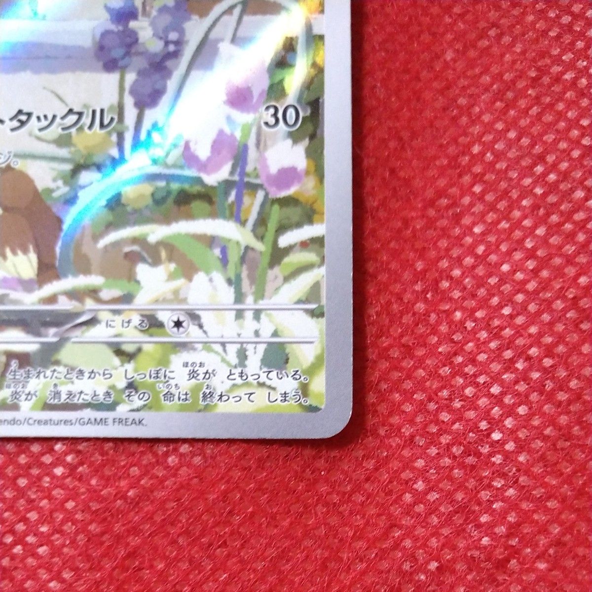 ヒトカゲ AR スペシャルデッキセットex|Yahoo!フリマ(旧PayPay ヒトカゲ AR スペシャルデッキセットex|Yahoo!フリマ(旧PayPay