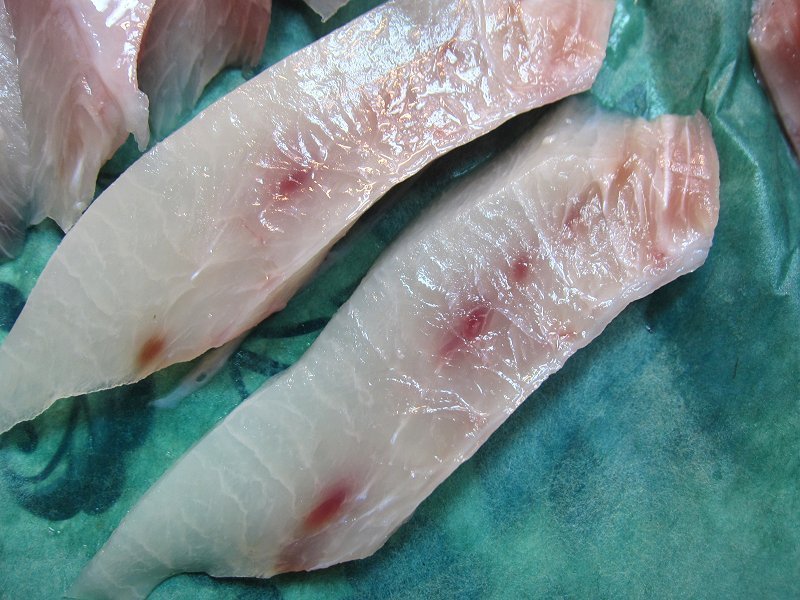 超美味「メカジキ腹身,柵500g」-大トロ -脂の乗りはマグロ以上_画像4