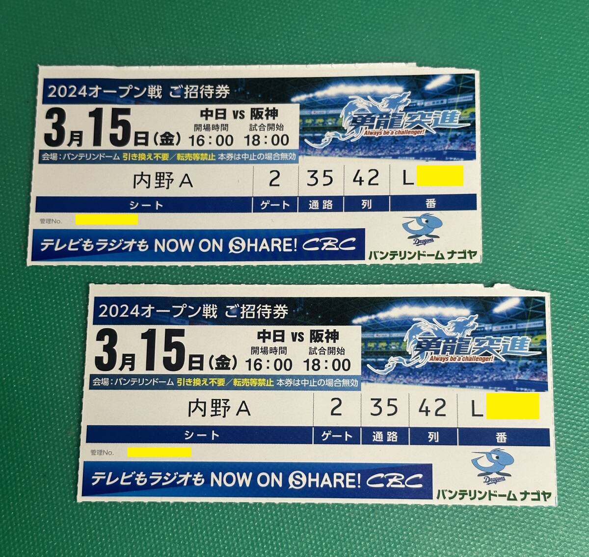 3月15日　中日ドラゴンズ対阪神タイガース　内野Ａ ペアチケット_画像1