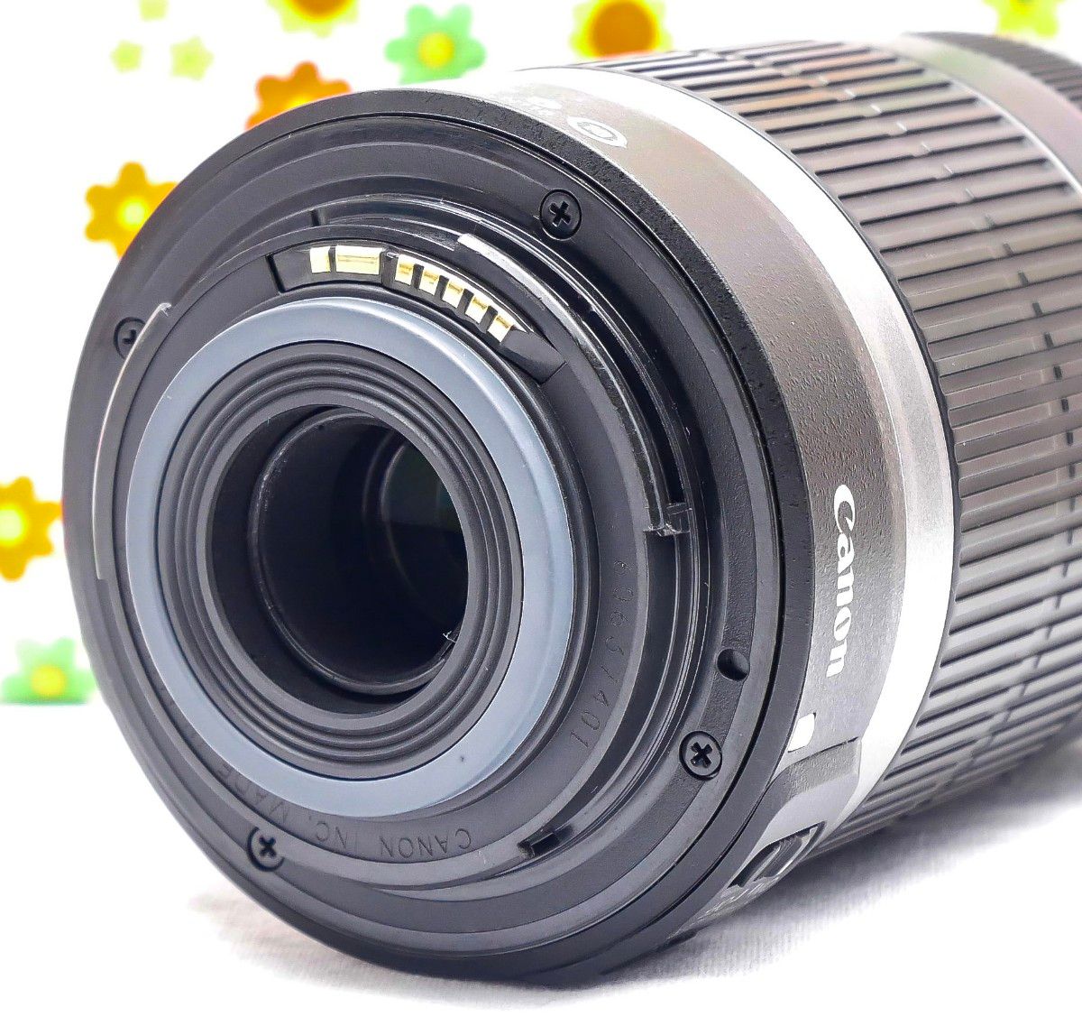 美品 キャノン Canon EF-S 55-250mm IS☆お手軽望遠レンズ♪