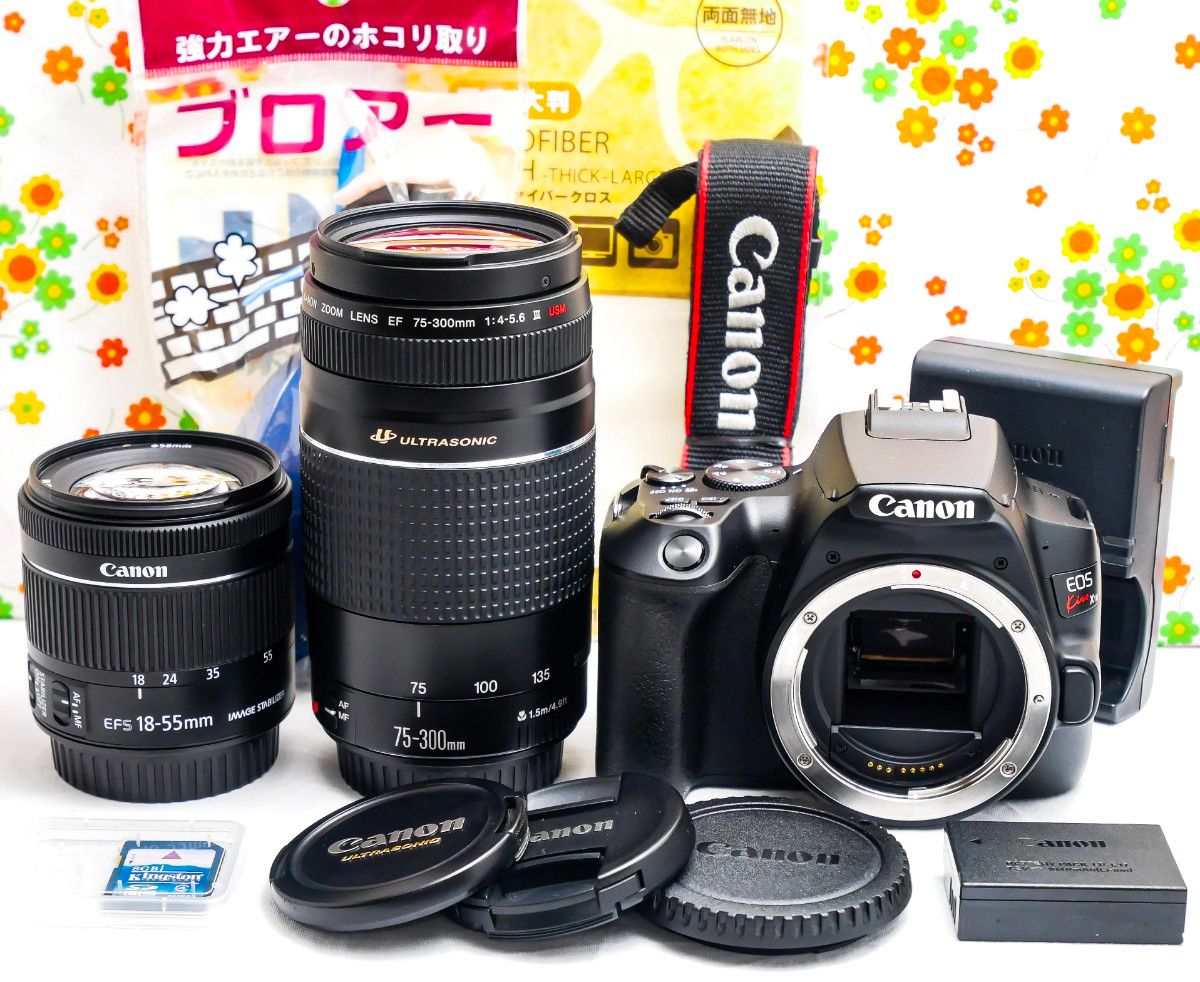 美品 Canon EOS Kiss X10☆Wi-Fi内蔵☆ダブルレンズ☆