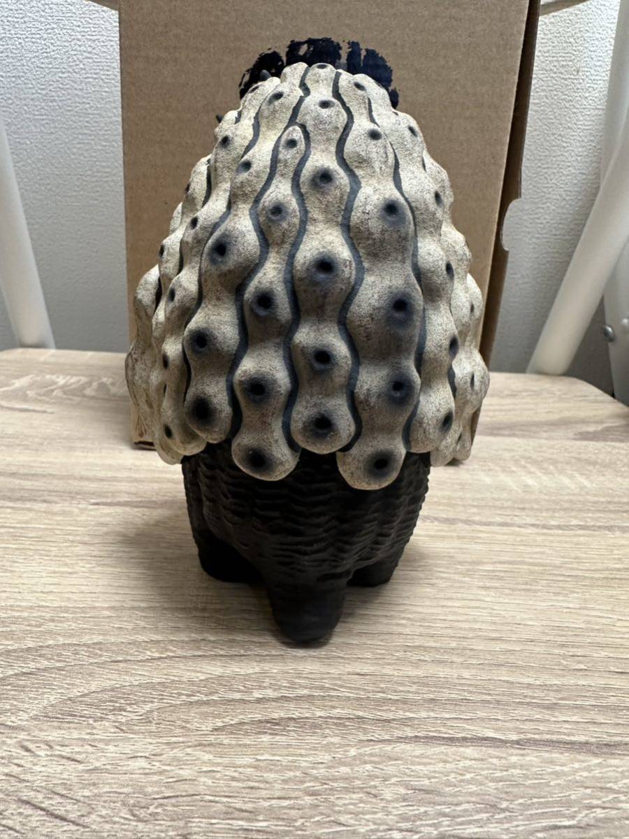 Robin Huang Copiapoa Cinerea 羅本黑王丸|Yahoo!フリマ(旧 Robin Huang Copiapoa Cinerea 羅本黑王丸|Yahoo!フリマ(旧