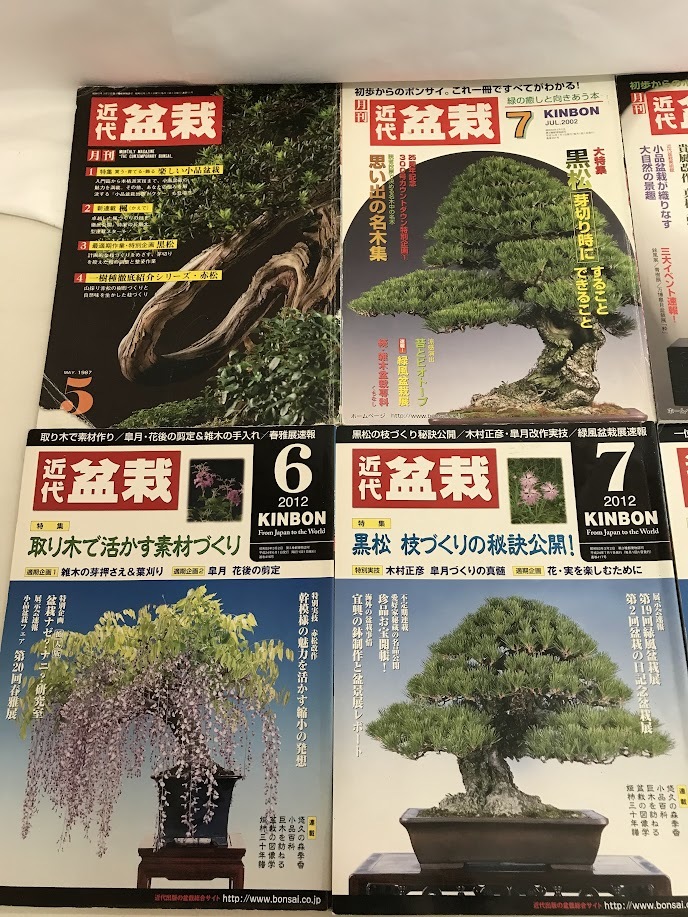 ☆近代盆栽 KINBON 盆栽総合誌 雑誌 12冊 まとめ 不揃い 黒松 五葉松 伝承水石 雑木 緑風盆栽展_画像2