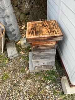 日本ミツバチ巣箱の画像3