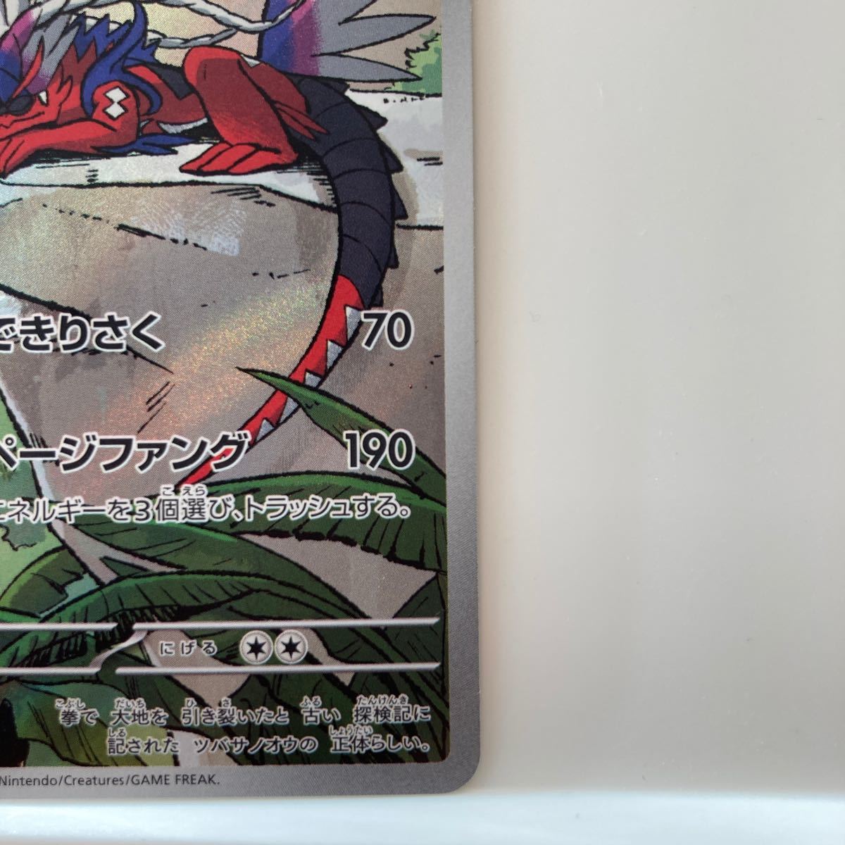 ポケモンカードゲーム コライドン プロモ ポケカ|Yahoo!フリマ ポケモンカードゲーム コライドン プロモ ポケカ|Yahoo!フリマ