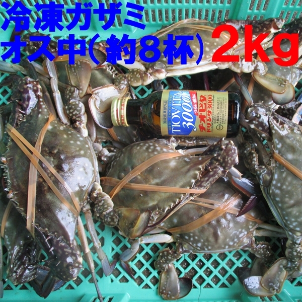 冷凍 ワタリガニ オス中サイズ２ｋｇ（約９杯） 渡り蟹 ガザミ 梭子蟹 ケジャンにも！ ★ がざみ 「冷凍 ガザミ オス中２ｋｇ」_画像1