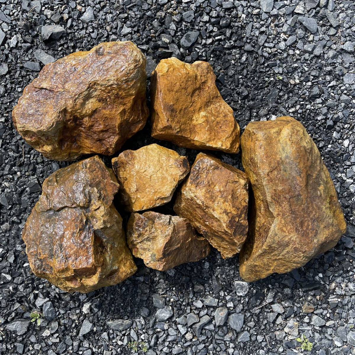 mi.. камень [ маленький ~ средний размер ] 30kg редкий блокировка сад Driger temi утка камень три . камень cocos nucifera суккулентное растение 