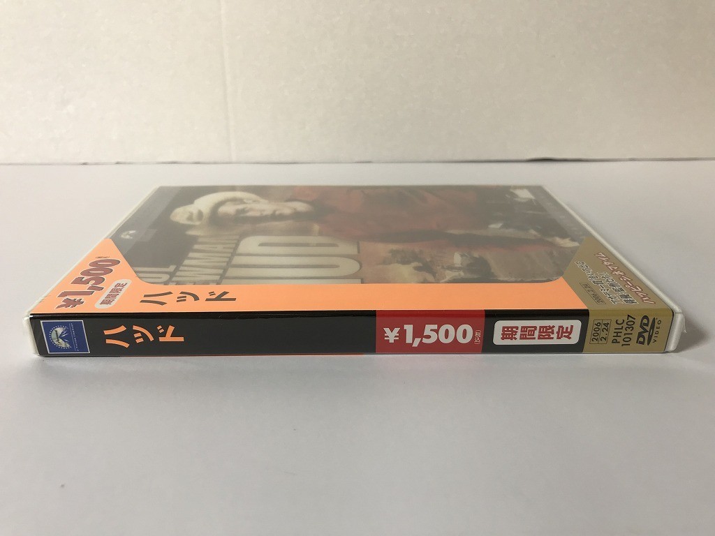 TG909 未開封 ハッド Hud 【DVD】 0211_画像5