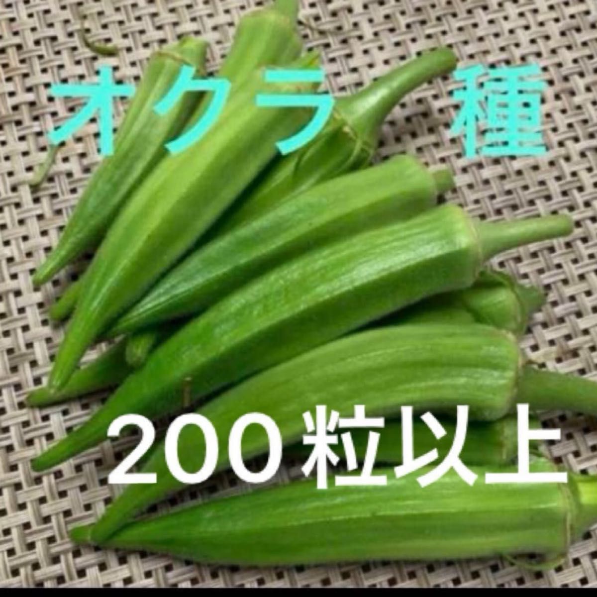 野菜　オクラ　種子　種　200粒以上