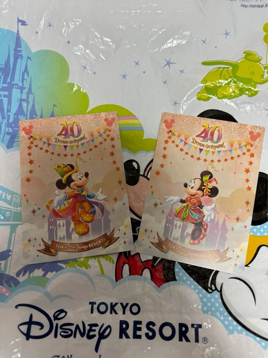 ディズニーランドホテル　40周年ルーム　グランドフィナーレルーム　バッグ　ポーチ　ルームキー　セット