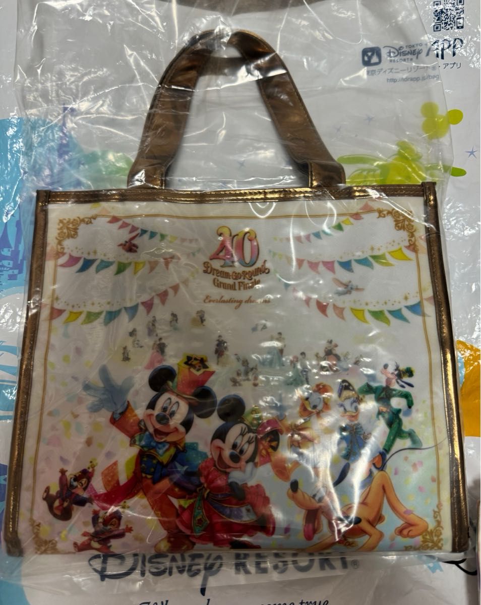 ☆ディズニーランドホテル☆４０周年＆グランドフィナーレ部屋☆バッグ