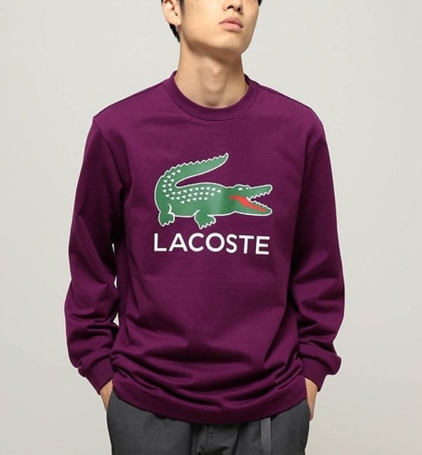 ラコステ X BEAMS 別注 ビッグロゴ 長袖Tシャツ US M メンズ ビームス ワニ LACOSTE ロングスリーブ ロンT TH204PL_画像2