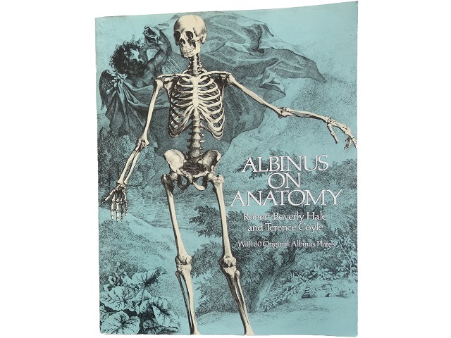 洋書◆アルビヌスの解剖画集 銅版画 本 デッサン 人体 骨_画像1