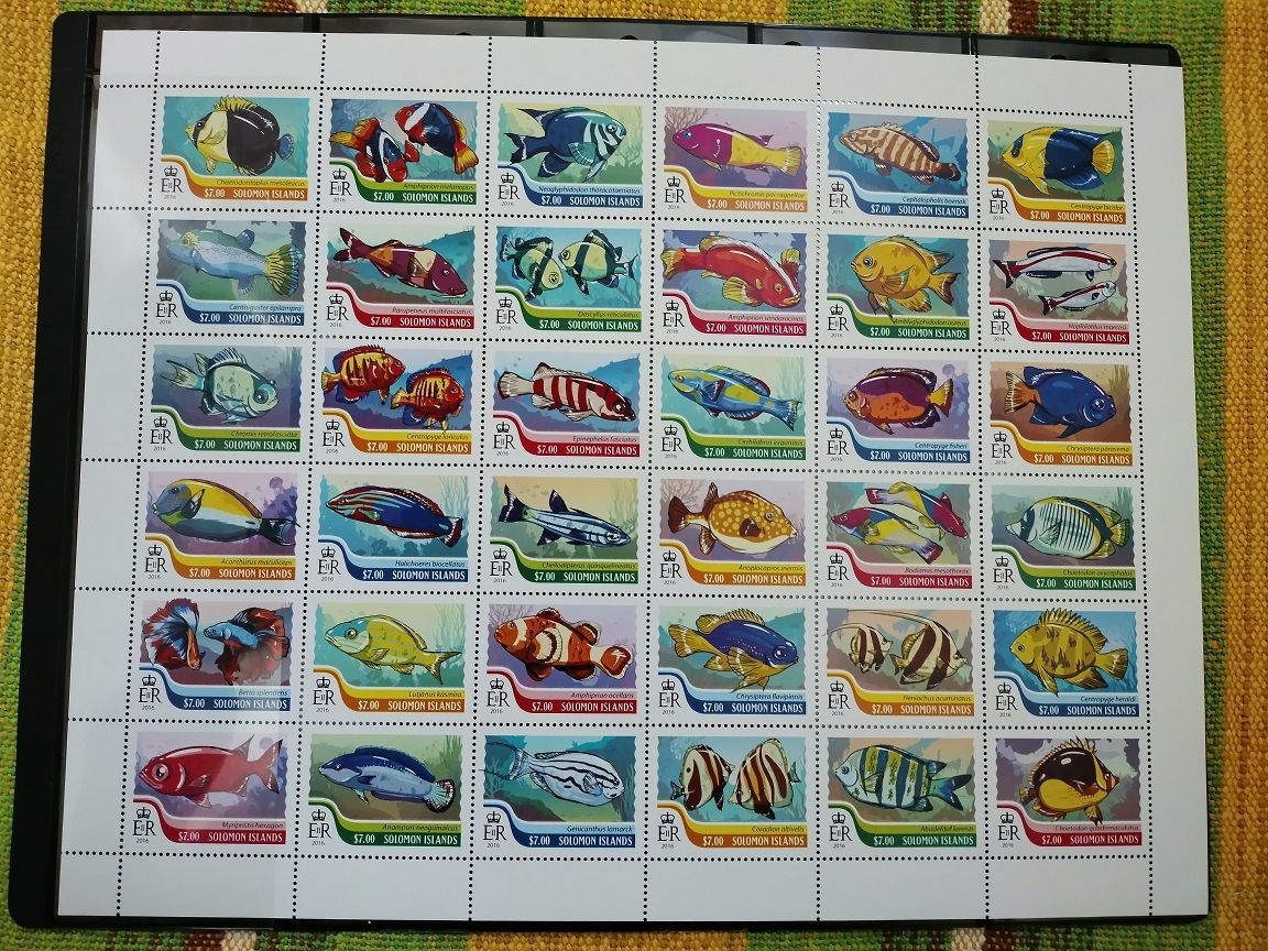 bα95y4-2S7　ソロモン諸島2016年　魚・36種シート　26.5×21㎝