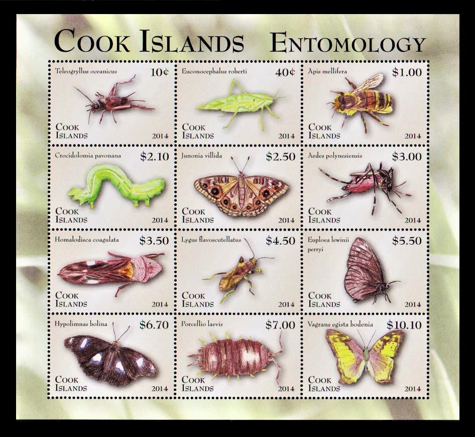 bα44y4-2C6　クック諸島2013年　昆虫学・12種シート　（ii）