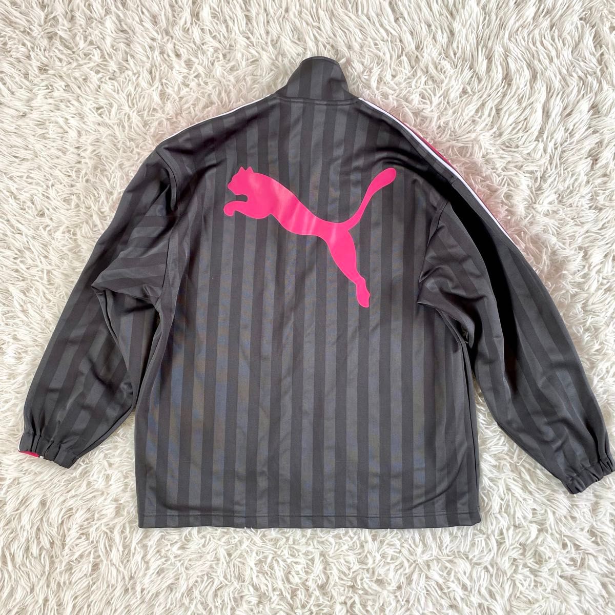 PUMA プーマ セットアップ サイドラインロゴ バックプリント PUMA プーマ セットアップ サイドラインロゴ バックプリント