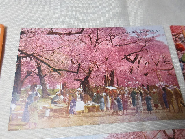 戦前　絵葉書6枚　タトゥ　仙台名所　老桜満開の光景_画像2