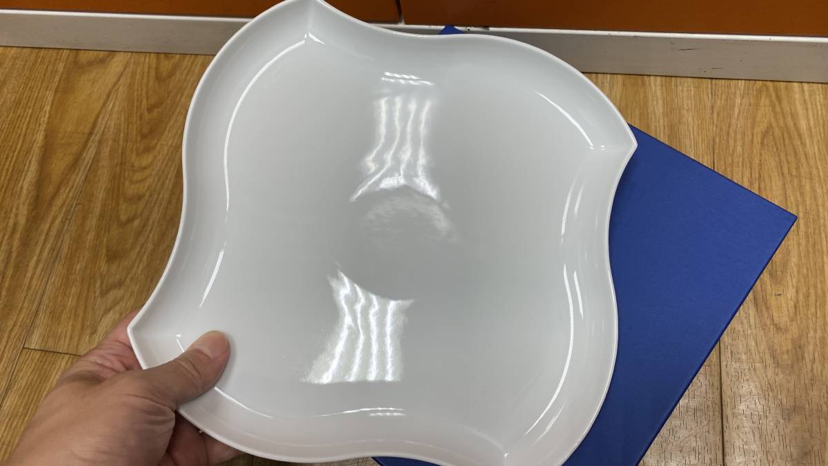 【新品未使用】リチャードジノリ 大皿 皿 ディッシュ 24センチ デダロ_画像3