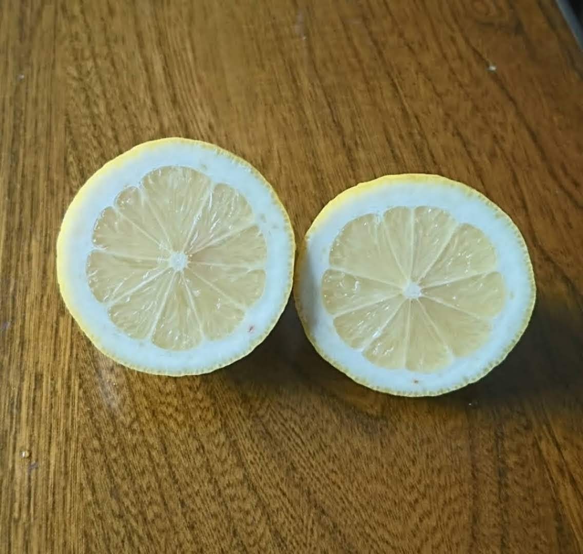 【小玉】酸っぱいだけじゃない！甘味も感じる 特別栽培レモン1.5キロ_画像3