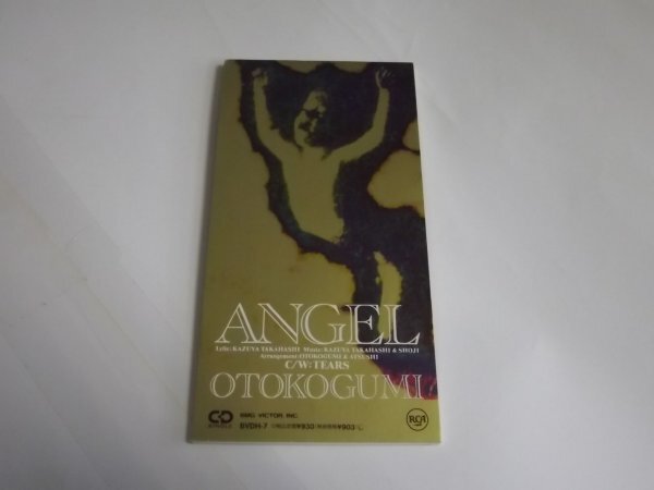 [8cmCD] Otokogumi /ANGEL/TEARS excellent BVDH-7