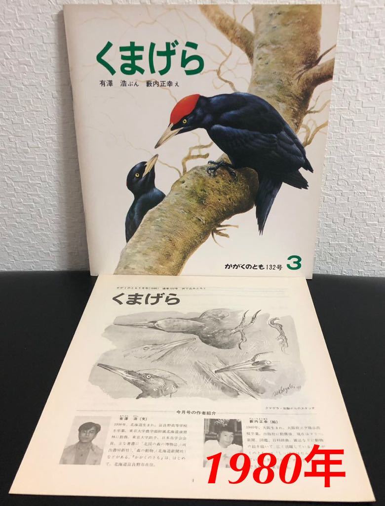 ◆当時物・希少本◆「くまげら」かがくのとも 折り込み付録付き　 有澤浩　薮内正幸　福音館　1980年　レトロ絵本_画像1