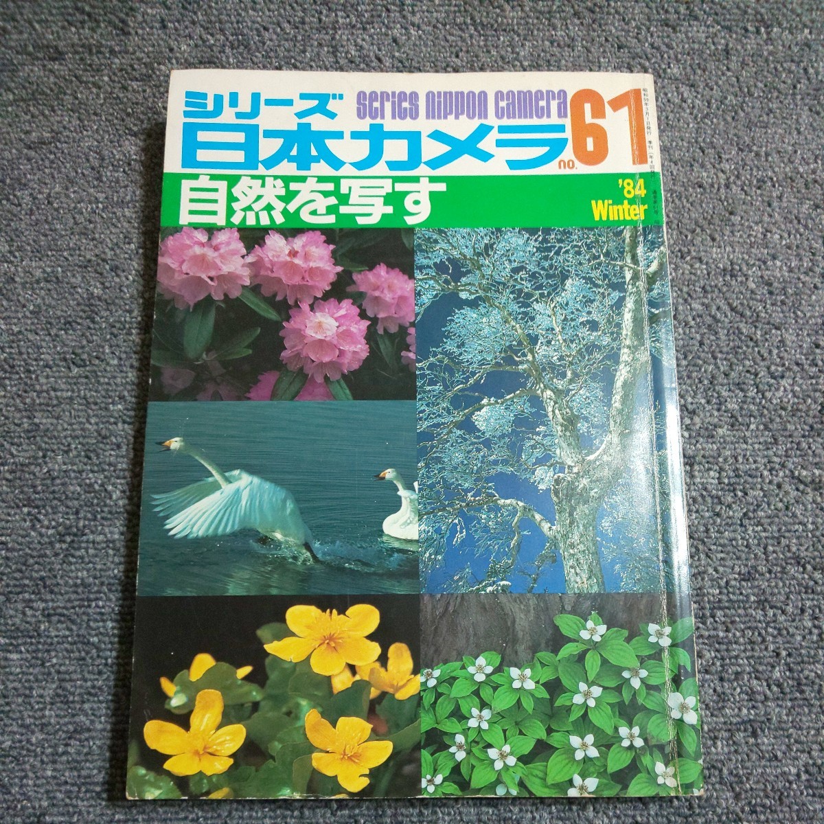 シリーズ日本カメラ No.61　自然を写す　1984年冬号_画像1