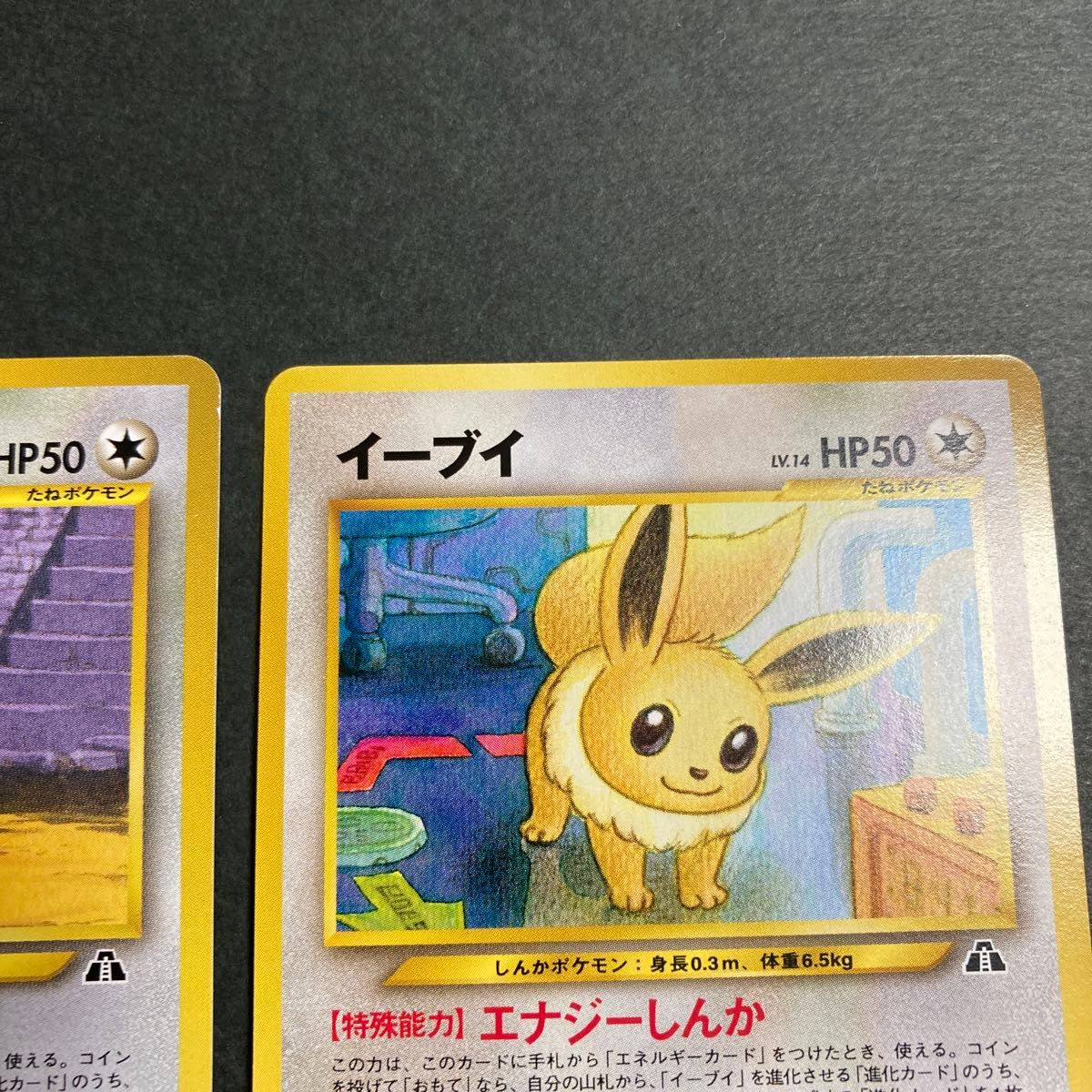 ポケモンカード 旧裏 旧裏面 イーブイ 2枚セット