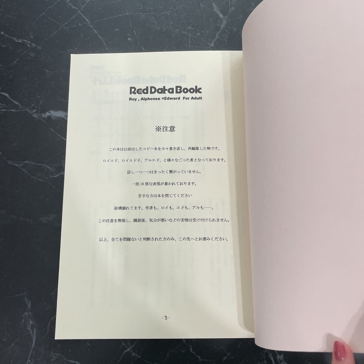  трудно найти! редкость * Fullmetal Alchemist журнал узкого круга литераторов RED DATE BOOK красный данные книжка /train reaction/../roi× Edward /roi Ed /roi× Ed *6037