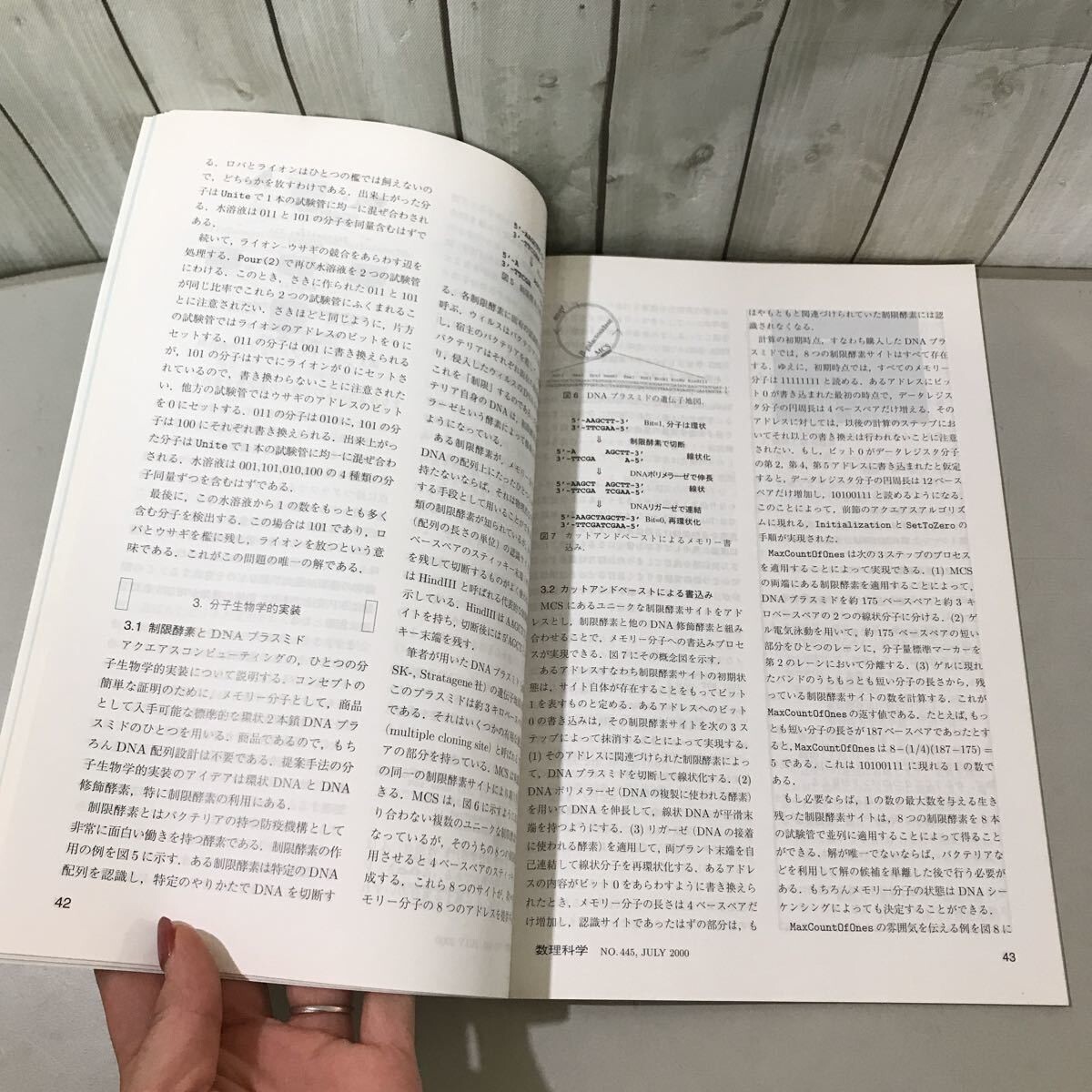 ●数理科学 2000年7月号●分子コンピューティング 理論と実験の最前線/分子計算/理論モデル/DNA計算/生体分子/山村雅幸/坂本健作★6523_画像9