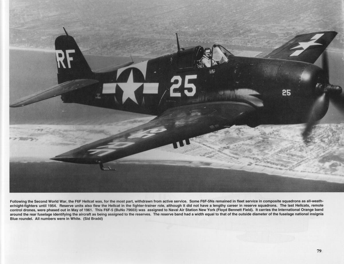 Walk Around F6F Hellcat_画像8