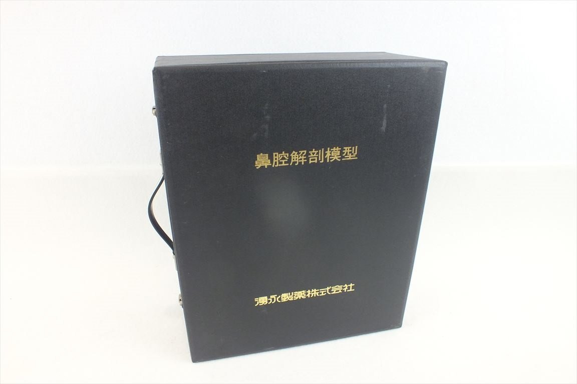 ☆ 湧永製薬 鼻腔解剖模型 中古 現状品 240207M4123_画像6