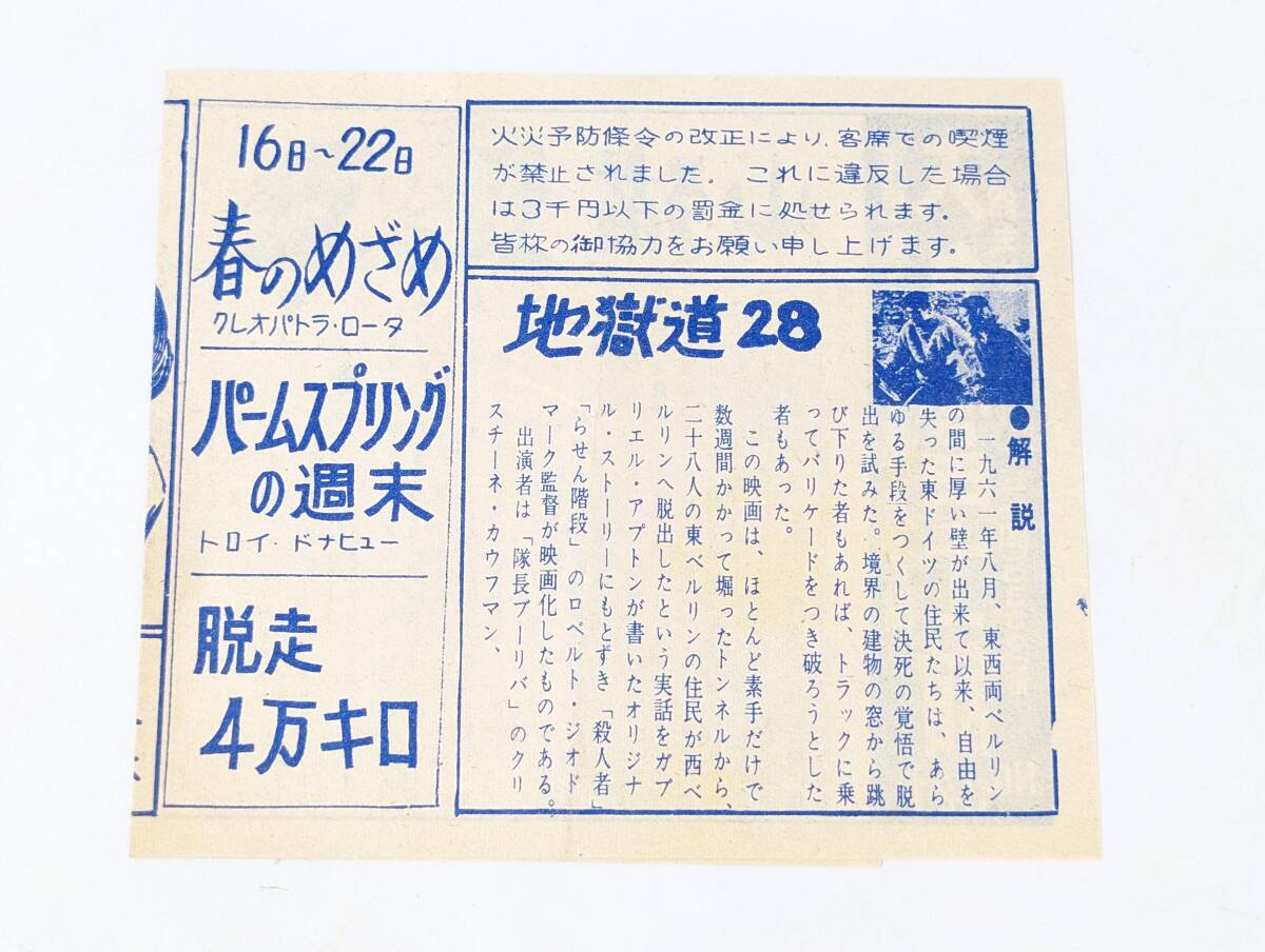 459 春のめざめ パームスプリングの週末 脱走4万キロ 地獄道28 エデンの東 山猫 チラシ 映画 ポスター プレス パンフレットの画像2