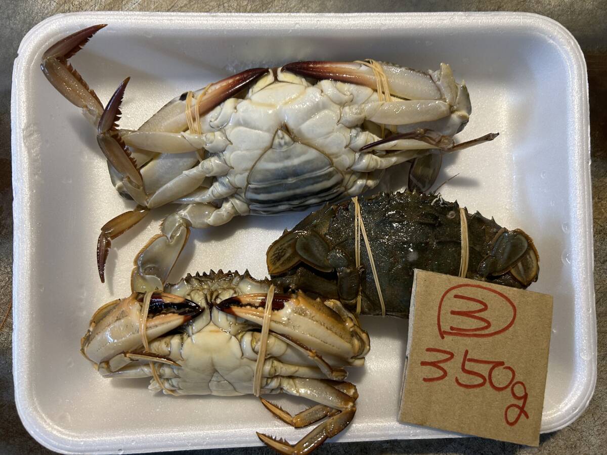 [ Wakayama production ] crab various (3 pcs . approximately 350g) freezing 3