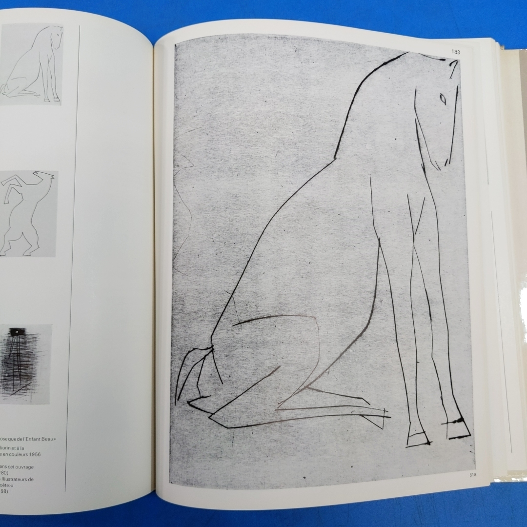 「ピカソ版画カタログレゾネ第1巻 Pablo Picasso Tome.1 Catalogue de l'oeuvre grave et lithographie 1904-1967 Georges Bloch 1975」_画像10