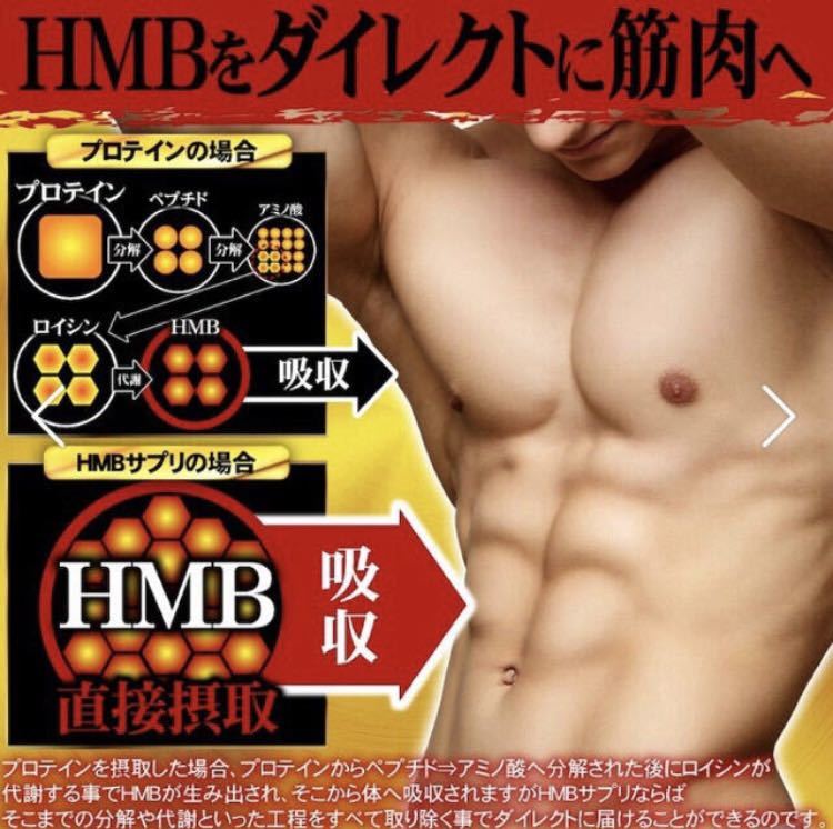 HMBサプリ HMBアスリートゴールド 筋トレ ※ ファイラ 鍛神 を検討中の方_画像2