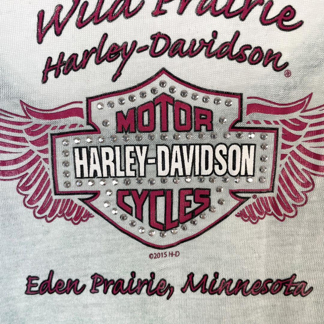 Harley DavidsonハーレーダビッドソンシースルーTシャツビジュー_画像8