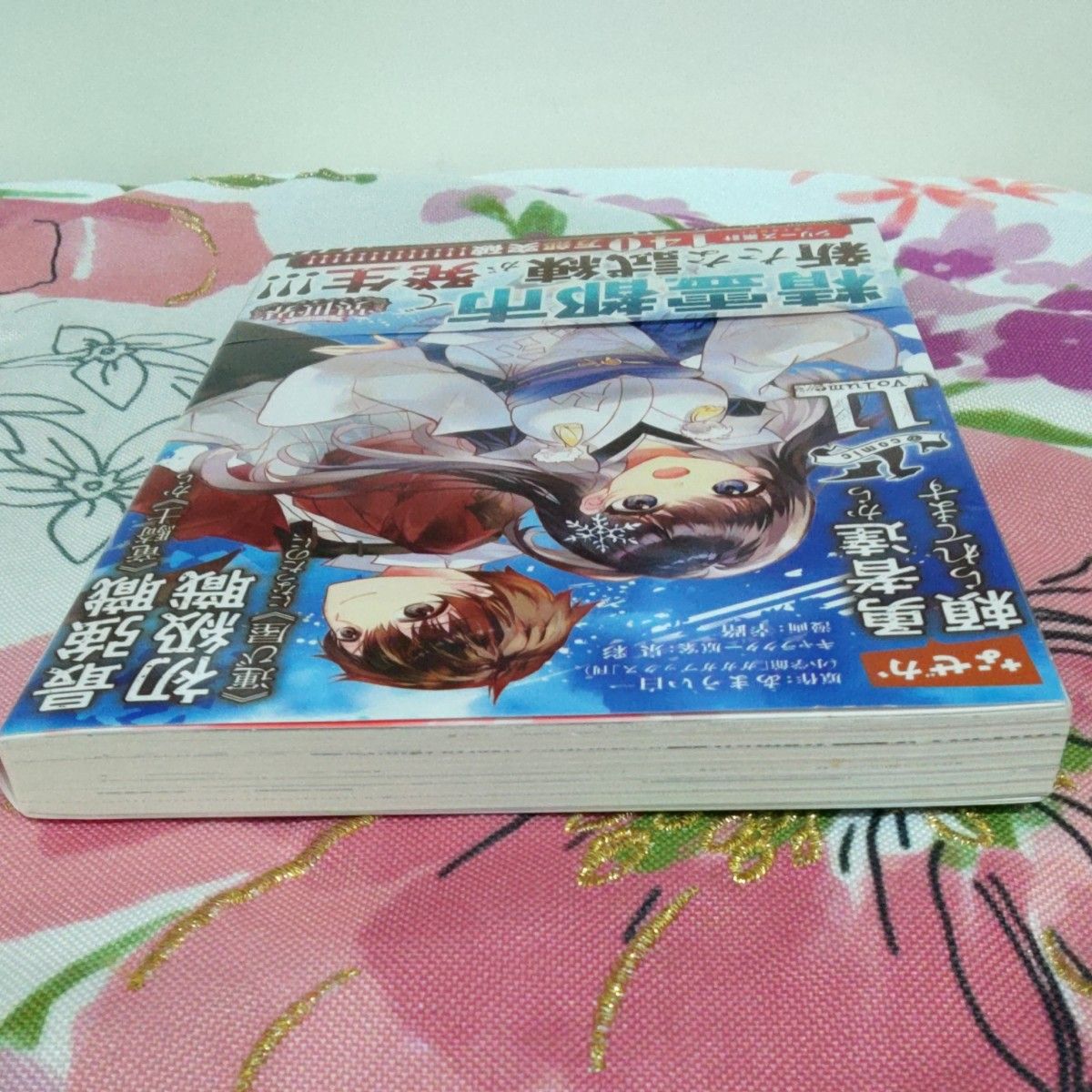 最強職《竜騎士》から初級職《運び屋》になったのに、なぜか勇者達から頼られてます＠ｃｏｍｉｃ　１１ （裏少年サンデーコミックス） 