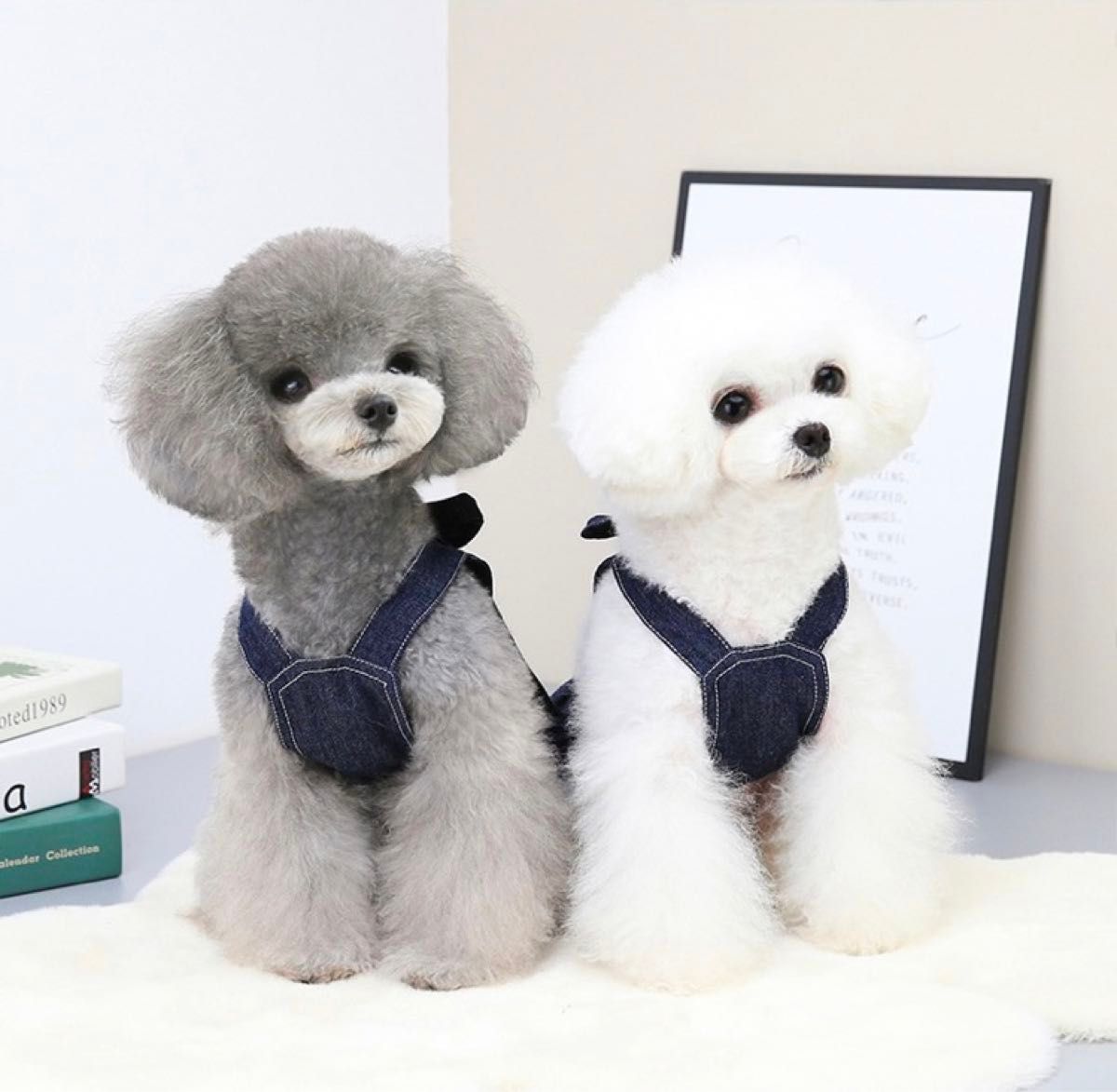 小型犬服 犬服 超可愛いペット服 犬用 ペット用品 Mサイズ