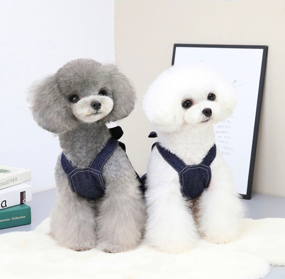 小型犬服 犬服 超可愛いペット服 犬用 ペット用品 Sサイズ