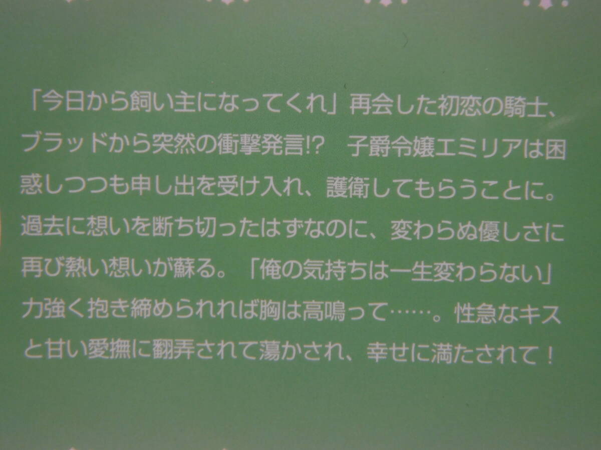 ティアラ文庫【私の忠犬は待てができない!?　コワモテ騎士の性急で一途な甘い愛】真波トウカ_画像3