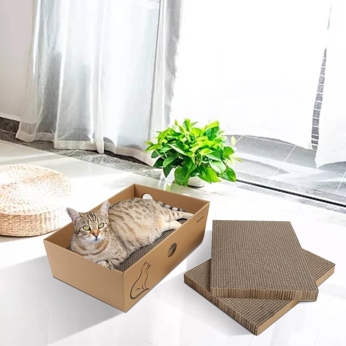  cardboard box type nail ..AUSCAT cat nail .. cat for rust .... replacement for nail sharpen 4 sheets entering cat bed combined use box type 37×27×13