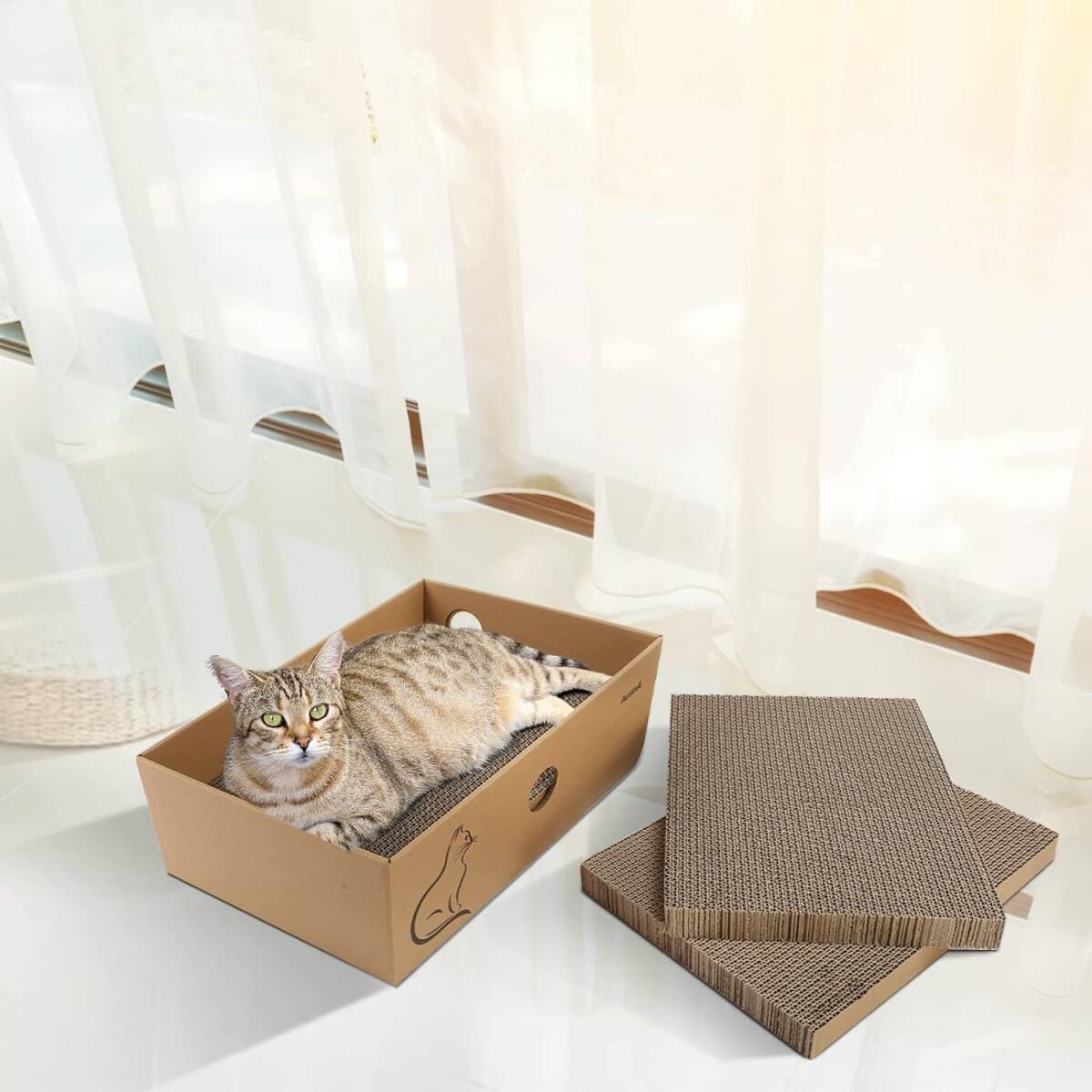  cardboard box type nail ..AUSCAT cat nail .. cat for rust .... replacement for nail sharpen 4 sheets entering cat bed combined use box type 37×27×13