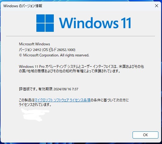 Windows11 24H2 Preview版 USB【非対応機種OK】_画像4