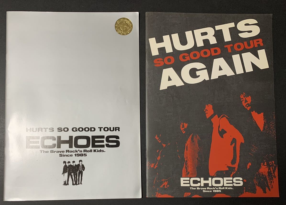 ★レア/2冊セット/ECHOES(エコーズ)HURTS SO GOOD TOUR/HURTS SO GOOD TOUR AGAIN/パンフレット/辻仁成/伊藤浩樹/伊黒俊彦/今川勉の画像1