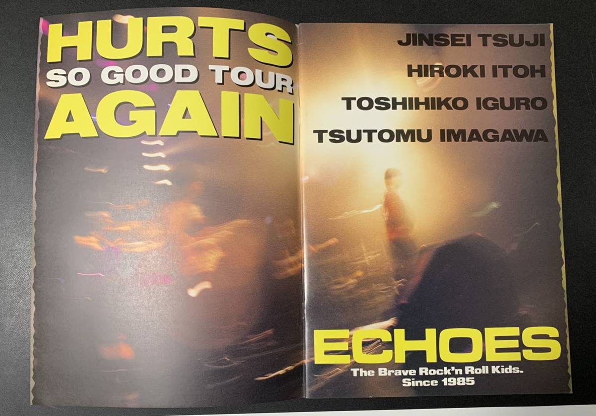 ★レア/2冊セット/ECHOES(エコーズ)HURTS SO GOOD TOUR/HURTS SO GOOD TOUR AGAIN/パンフレット/辻仁成/伊藤浩樹/伊黒俊彦/今川勉の画像3